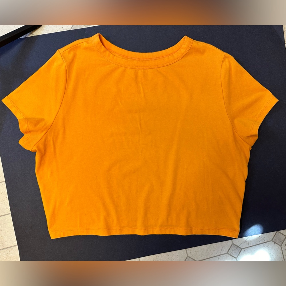 Wild Fable Crop T-shirt